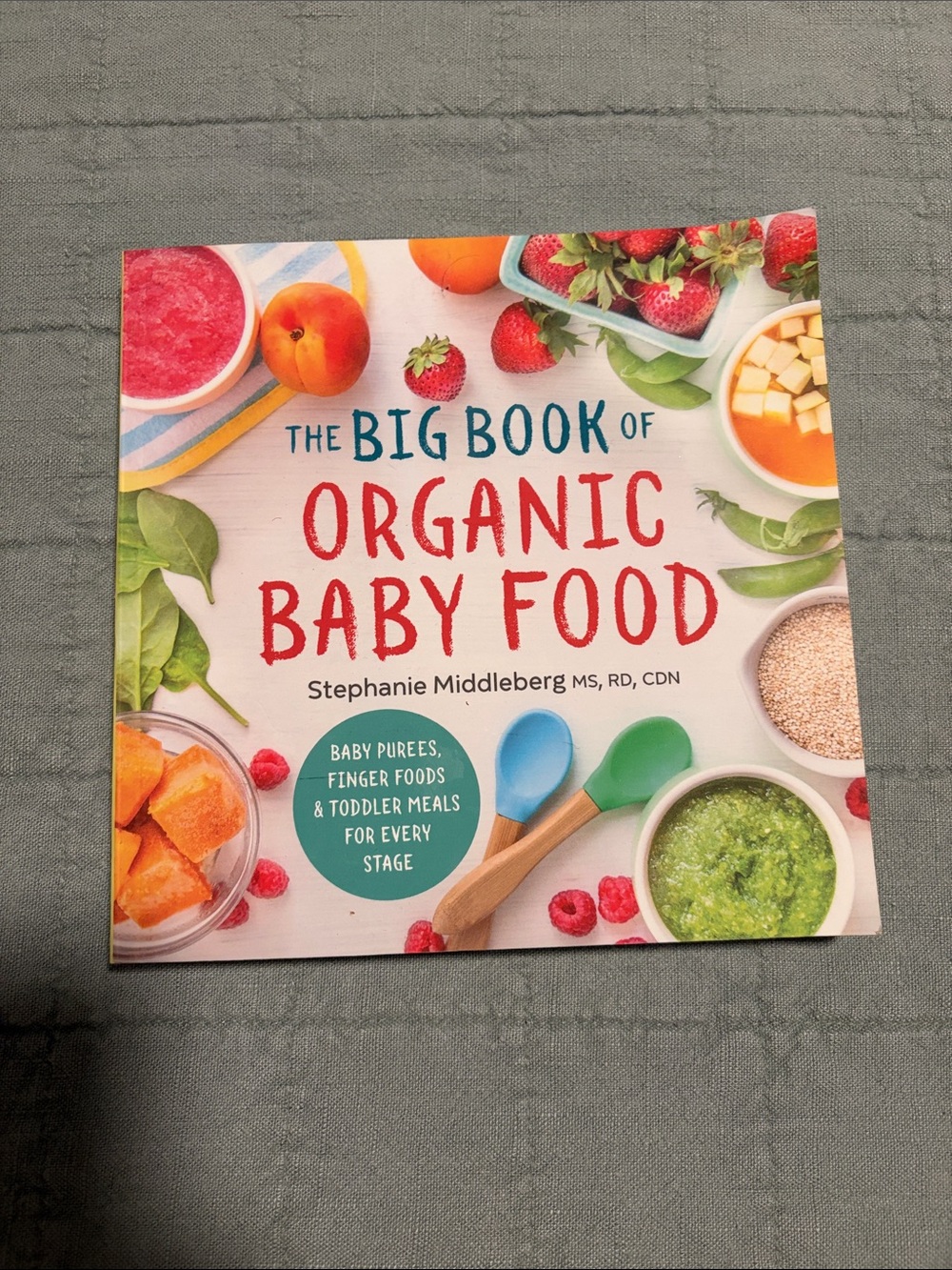Organic Baby Food Cookbook - Red & Green - Unknown Brand